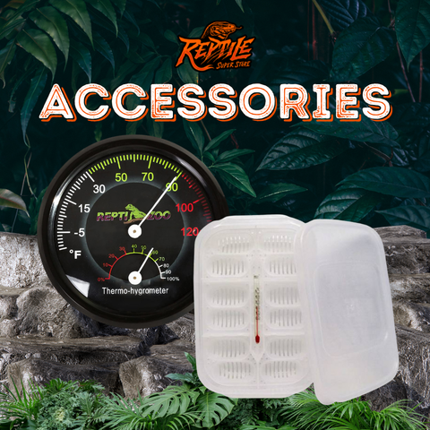Reptile Accessories