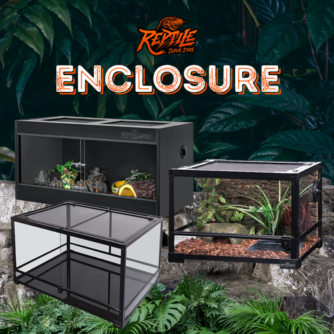 Reptile Enclosures
