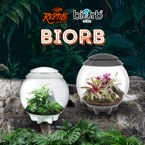 BiOrb