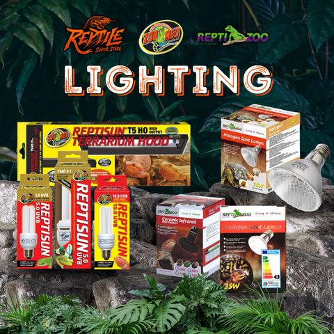 Reptile Lighting