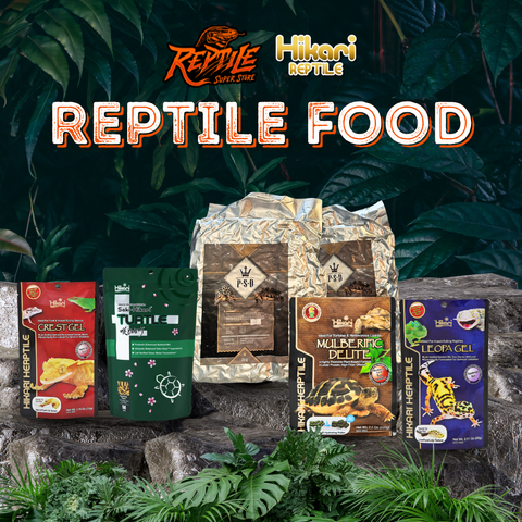 Reptile Food