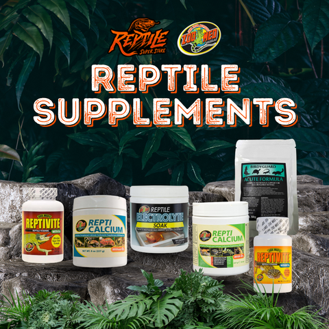 Reptile Supplements