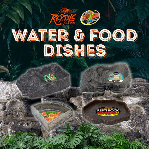 Reptile Water and Food Dishes