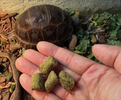 PSD Tortoise Food 15KG