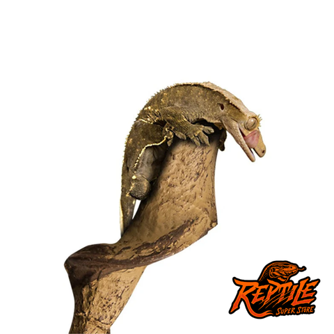 Reptizoo Artificial Cane 30cm