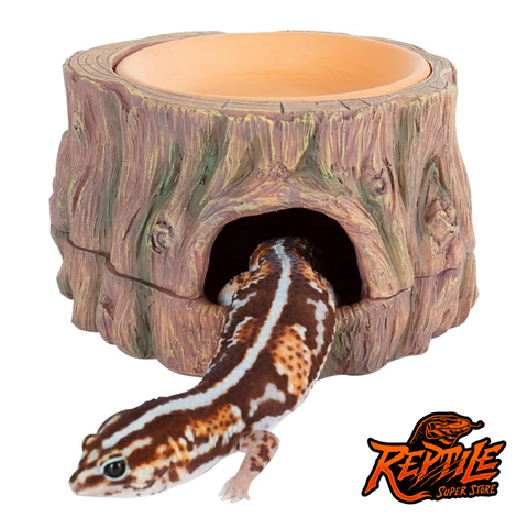 Reptile Hide