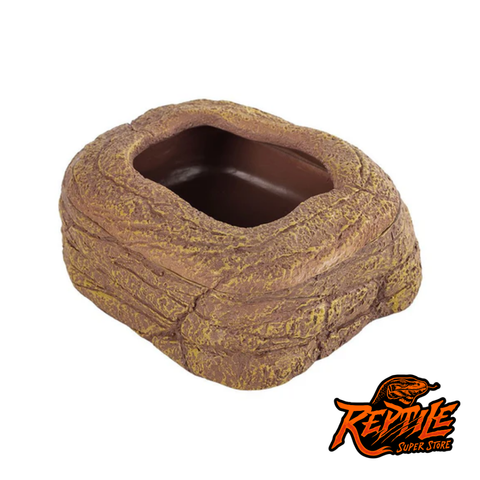 Reptile Food dish