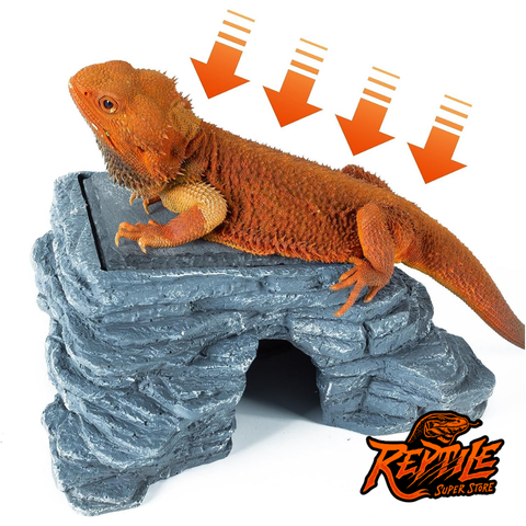 Reptile Hide