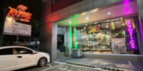 Reptile Super Store Reptile Super Store